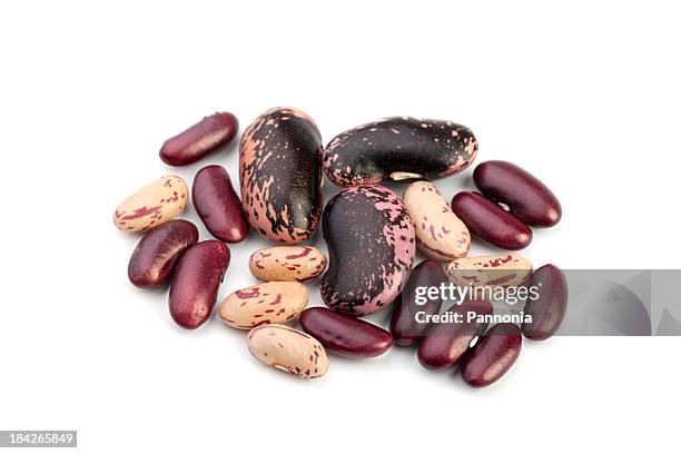 selection of beans on white - glycine stock pictures, royalty-free photos & images