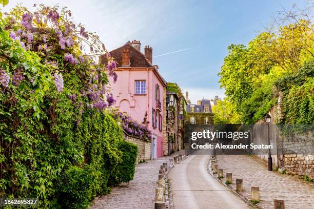 street in montmartre with blooming wisteria flowers in spring, paris, france - pink creepers stock pictures, royalty-free photos & images