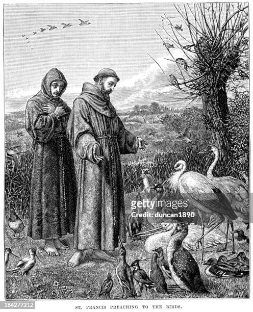 saint francis preaching to the birds - saint francis of assisi stock illustrations
