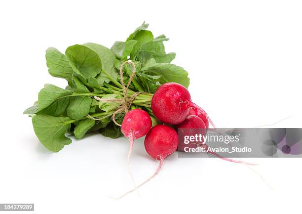 radish - radijs stockfoto's en -beelden