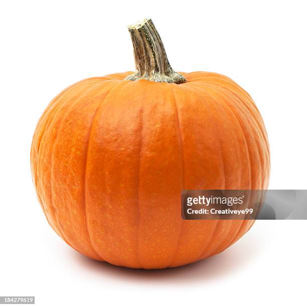 kürbis - pumpkin stock-fotos und bilder