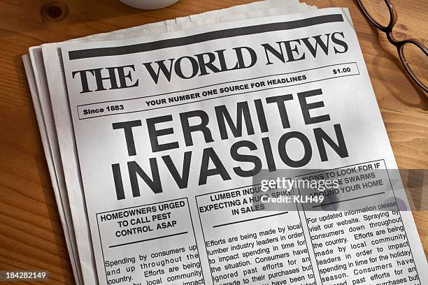 Tyramite Invation 3,936 Termite Stock Photos, High-Res Pictures, and Images - Getty Images