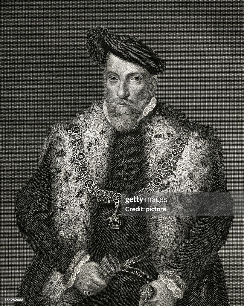 Henry Fitzalan (XXXL)