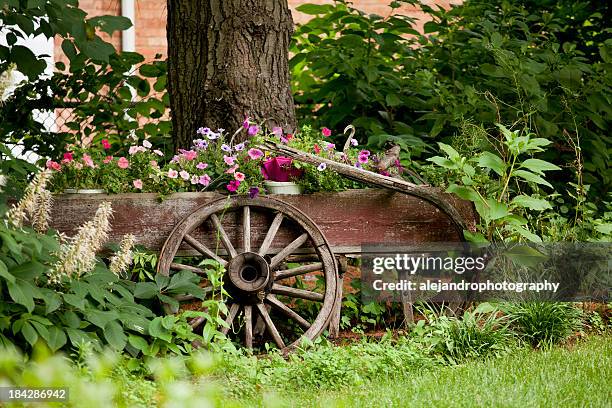 garden - country style stock pictures, royalty-free photos & images