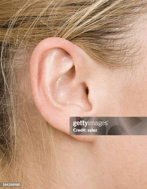 Human Ear Anatomy Photos and Premium High Res Pictures Biology Diagrams