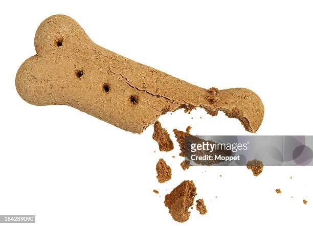 half-eaten brown dog biscuit on a white background - smula bildbanksfoton och bilder