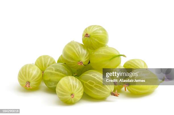 green gooseberries on a white background - gooseberries stock pictures, royalty-free photos & images