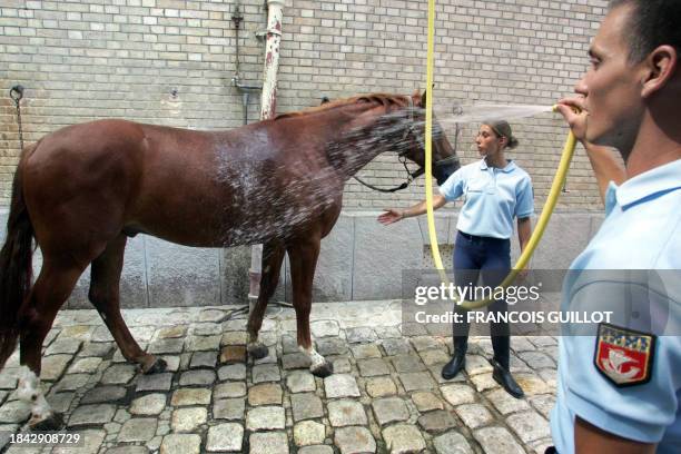 Des gardes républicains rafraîchissent un cheval, le 19 juillet 2006 à la caserne des Célestins à Paris, alors qu'une vague de chaleur sévit sur...