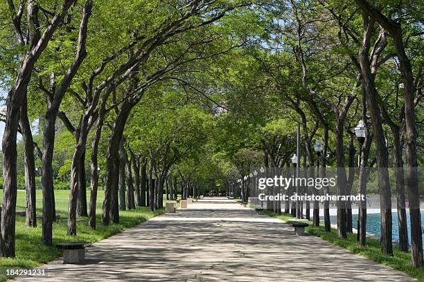 Tree Overhang 2,554 Tree Overhang Stock Photos, High-Res Pictures, and Images - Getty ...