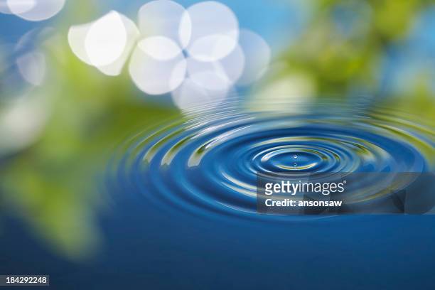 wasser, ripple - water ripple stock-fotos und bilder