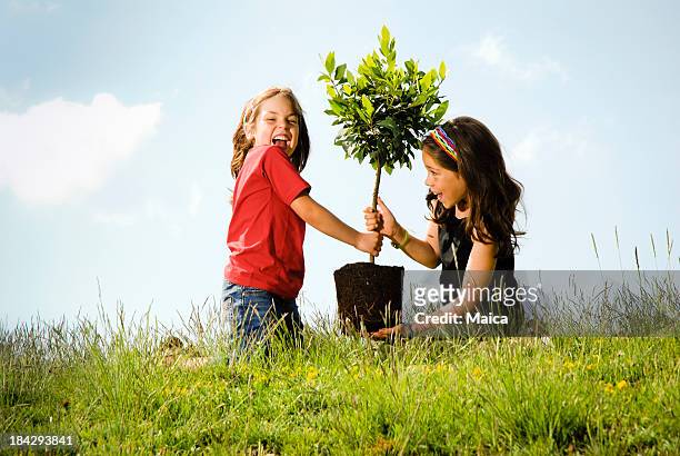 dos chicas plantando un árbol - only girls fotografías e imágenes de stock