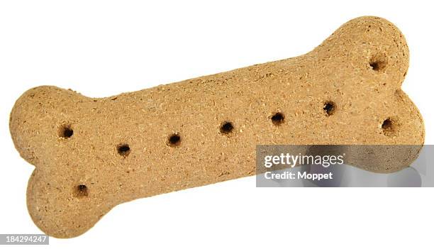 doggie treat. - dog biscuit stock pictures, royalty-free photos & images