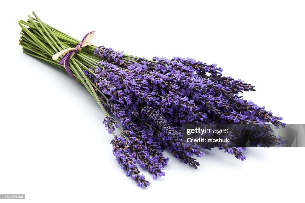 - Lavendel