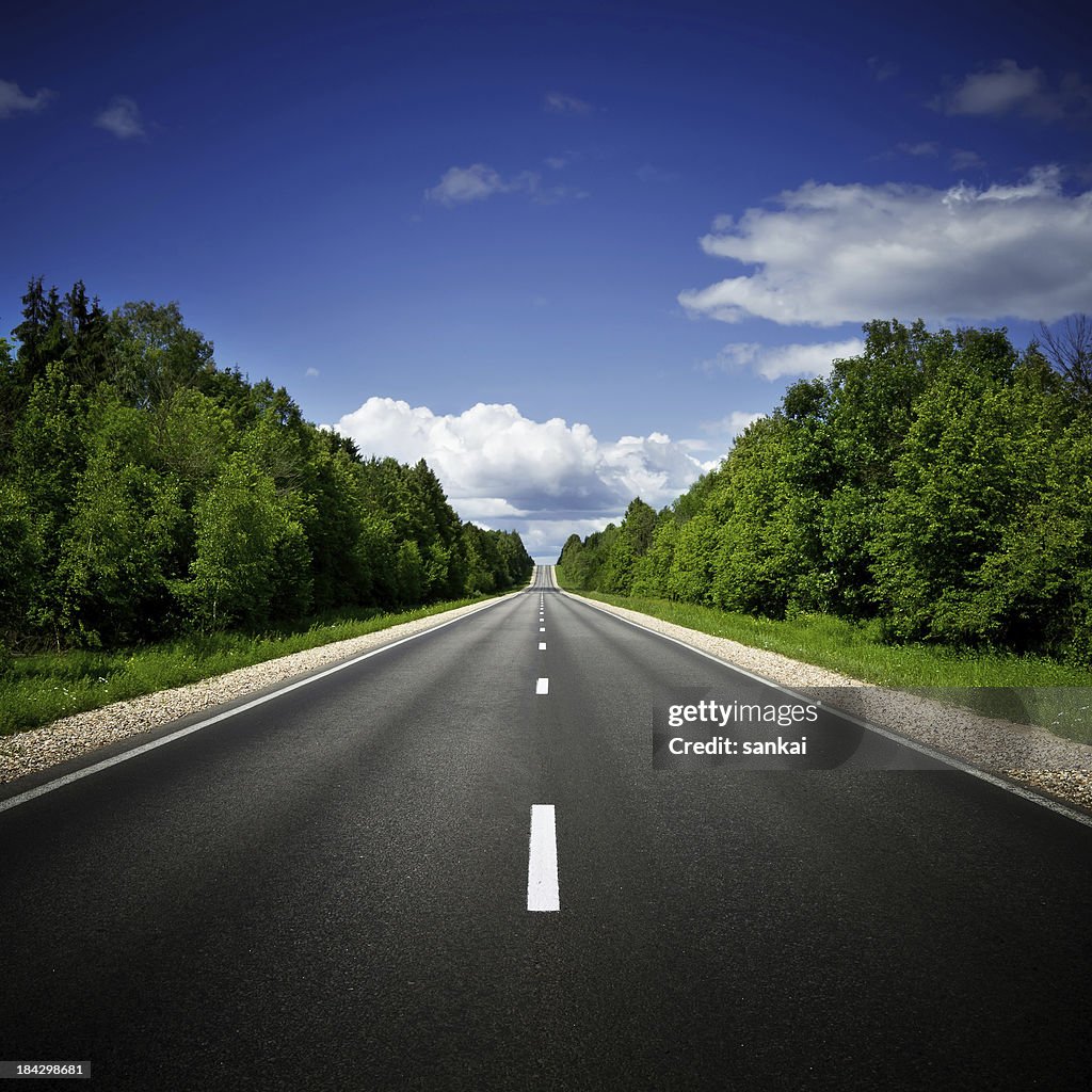 Country highway through the forest