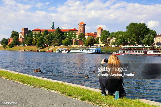wawel cathedral in krakow and photographer - krakow park stock pictures, royalty-free photos & images