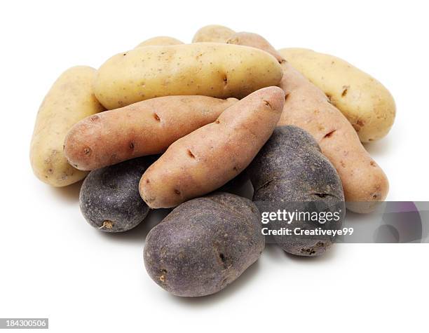 batata fingerling - batata fingerling imagens e fotografias de stock