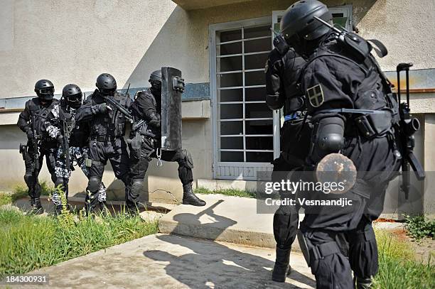 swat - special forces stock pictures, royalty-free photos & images