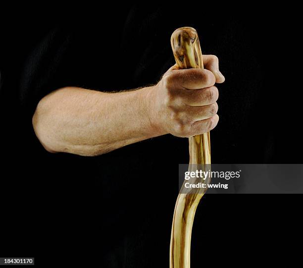 hand and walking stick - stick up stock pictures, royalty-free photos & images