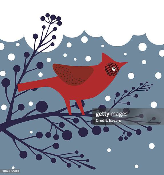 ilustrações de stock, clip art, desenhos animados e ícones de ave cardeal no ramo de inverno - blue cardinal bird