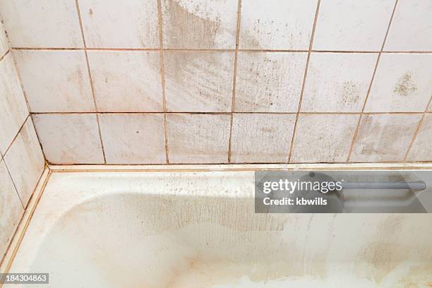 dirty bath and shower tiles - unhygienic stock pictures, royalty-free photos & images