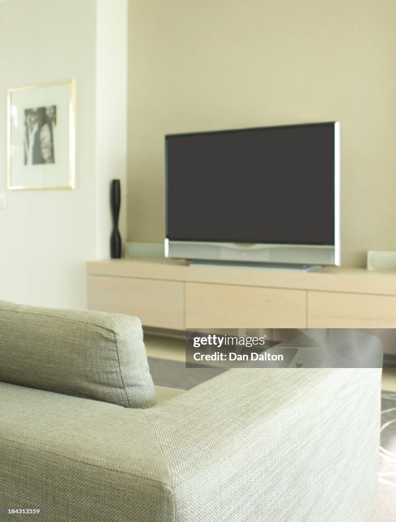 Sofa and television in modern living room