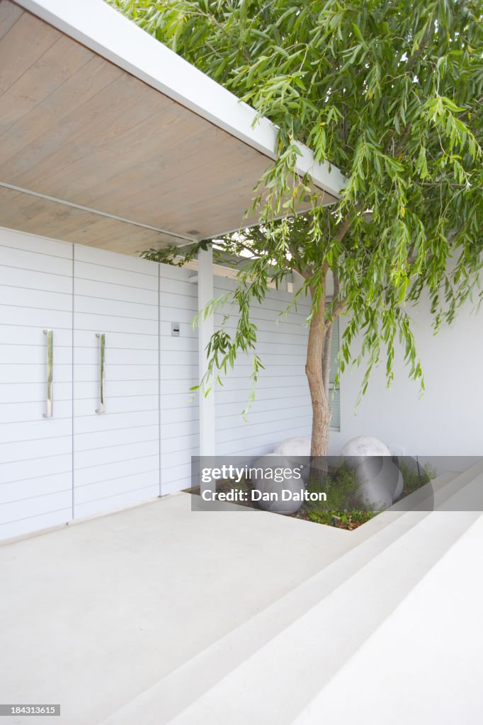 Tree in courtyard of modern house