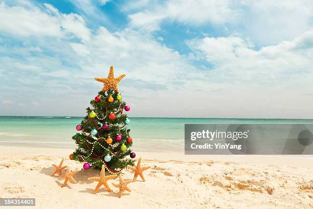 christmas tree in tropical caribbean beach in winter holiday vacation - beach christmas 個照片及圖片檔