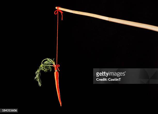 carrot am spieß - dangling a carrot stock-fotos und bilder