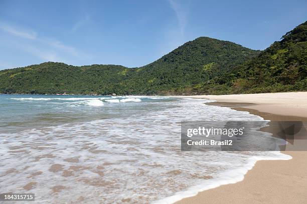 cachadaço beach in trindade - parati stock pictures, royalty-free photos & images