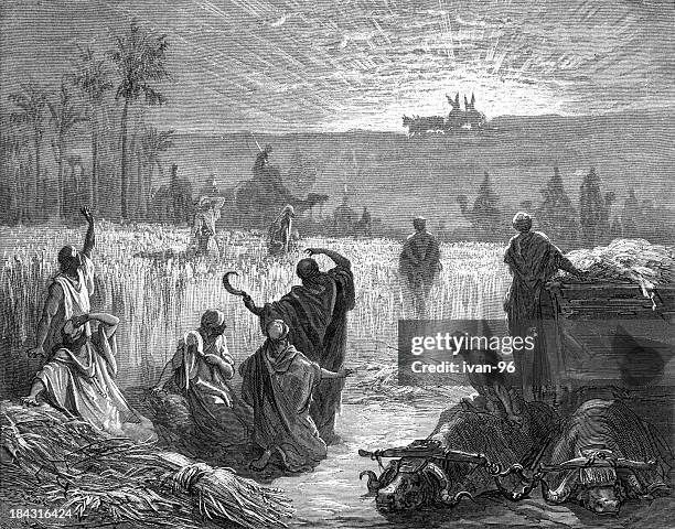 ilustraciones, imágenes clip art, dibujos animados e iconos de stock de the ark se devuelven - antiguo-testamento