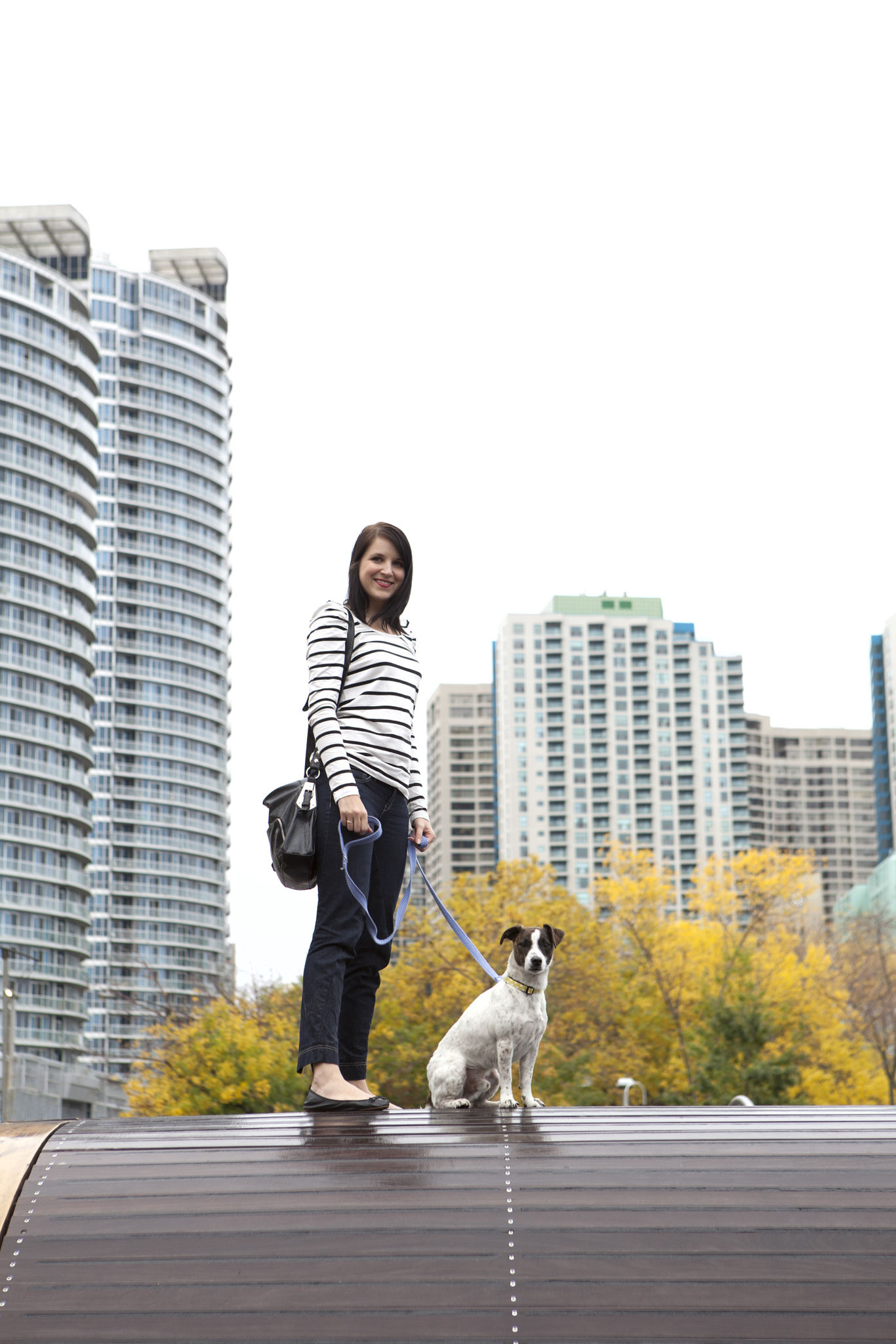 pet-friendly city