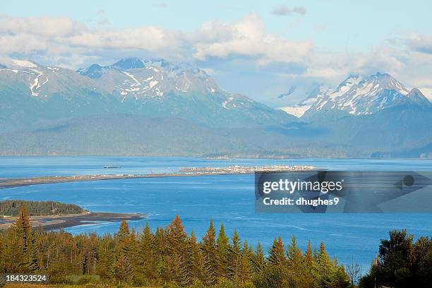 homer spit auf kachemak bay, kenai peninsula vom hilltop - homer alaska stock-fotos und bilder