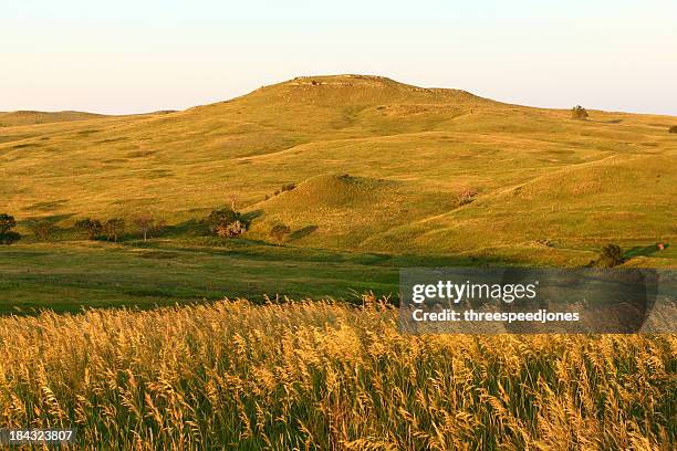 panoramic landscape of wheat fields in nebraska - nebraska stock pictures, royalty-free photos & images