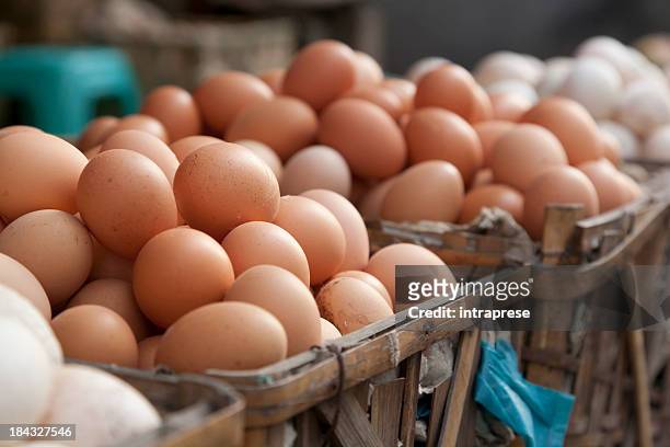 trade in eggs - animal egg stock pictures, royalty-free photos & images