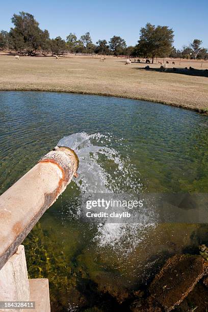 artesian water from farm bore - queensland farm stock pictures, royalty-free photos & images