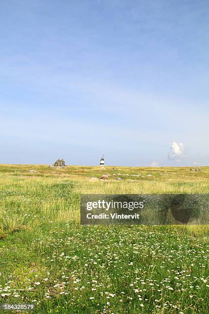 meadow - halland stock pictures, royalty-free photos & images