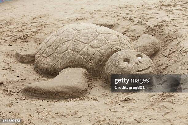 sand turtle xxxl - sand sculpture stock pictures, royalty-free photos & images