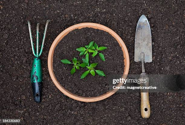 grow your own dinner - top soil stock pictures, royalty-free photos & images