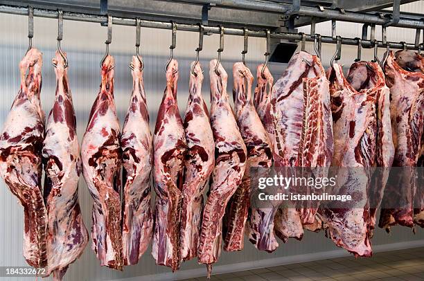 slaughter house - dood dier stockfoto's en -beelden