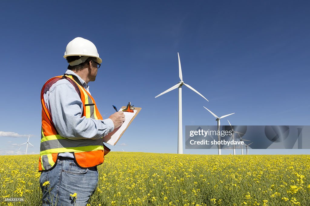 Worker looking at a field of wind turbines