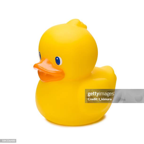 rubber duck - rubber duck stock pictures, royalty-free photos & images