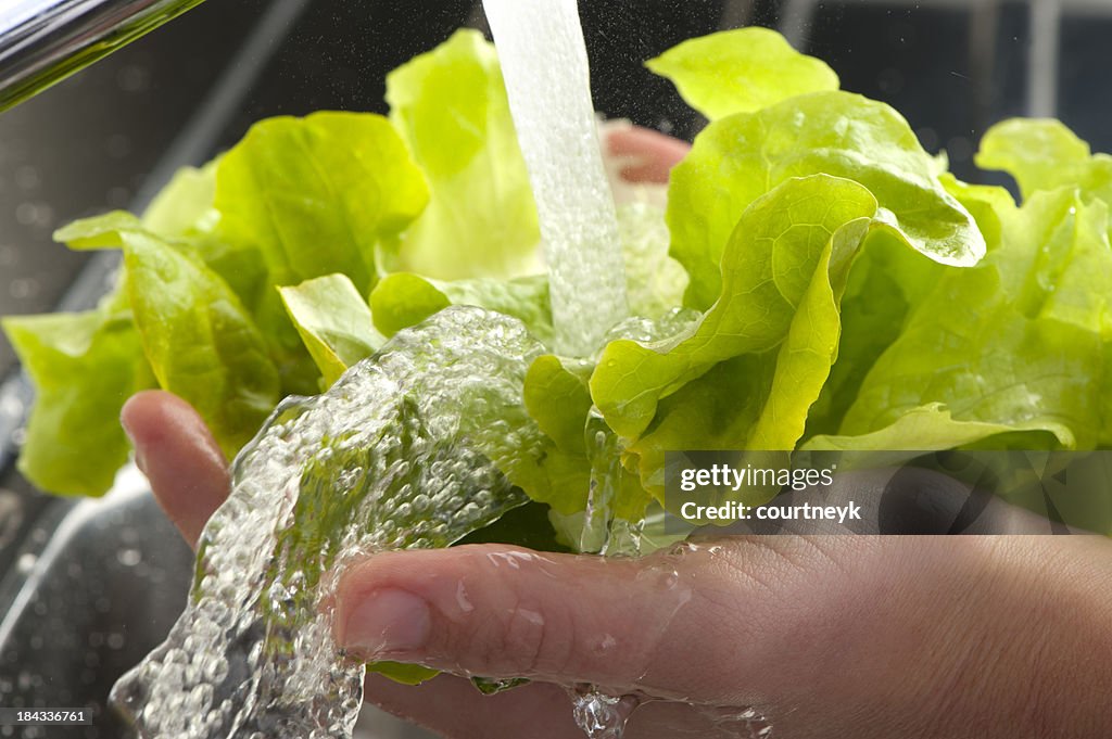 Womans hands washing lettuce leaves