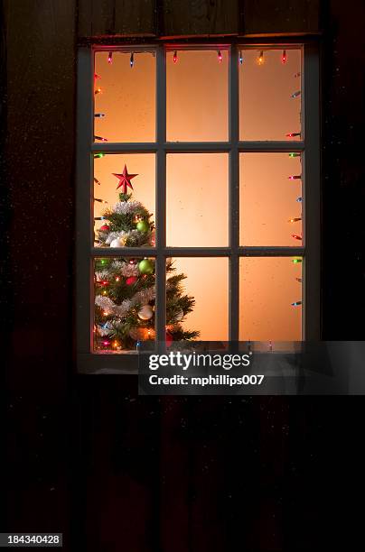 christmas tree - christmas window stock pictures, royalty-free photos & images