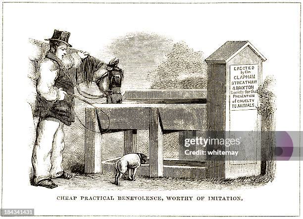 animal drinking trough - victorian illustration - brixton stock illustrations
