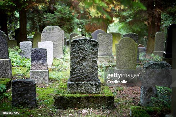 rows of very old and weathered tombstones - grafsteen stockfoto's en -beelden