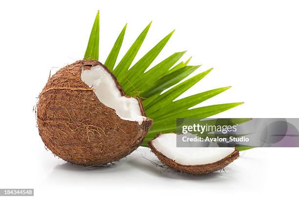 coconut - coconut isolated stockfoto's en -beelden