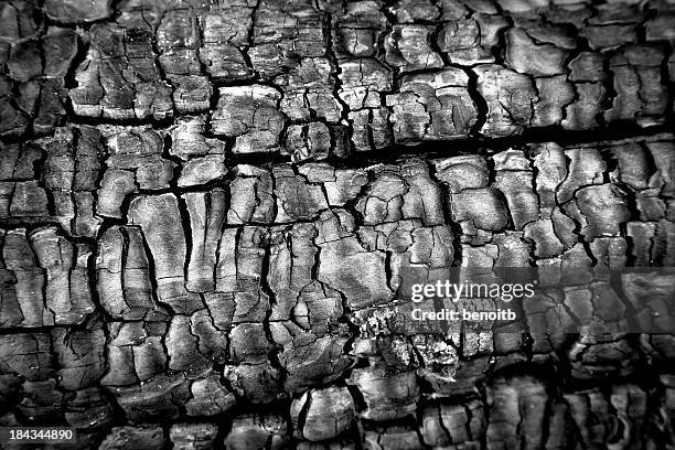 burnt wood - ember texture stock pictures, royalty-free photos & images