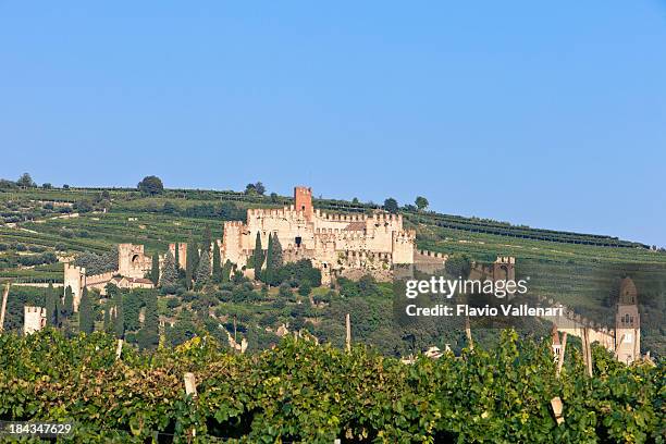 soave castle through the vineyards - veneto stock pictures, royalty-free photos & images