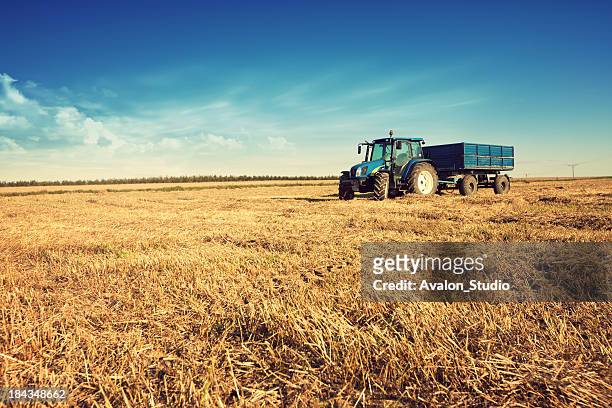 trattore nel campo barba incolta - tractor foto e immagini stock
