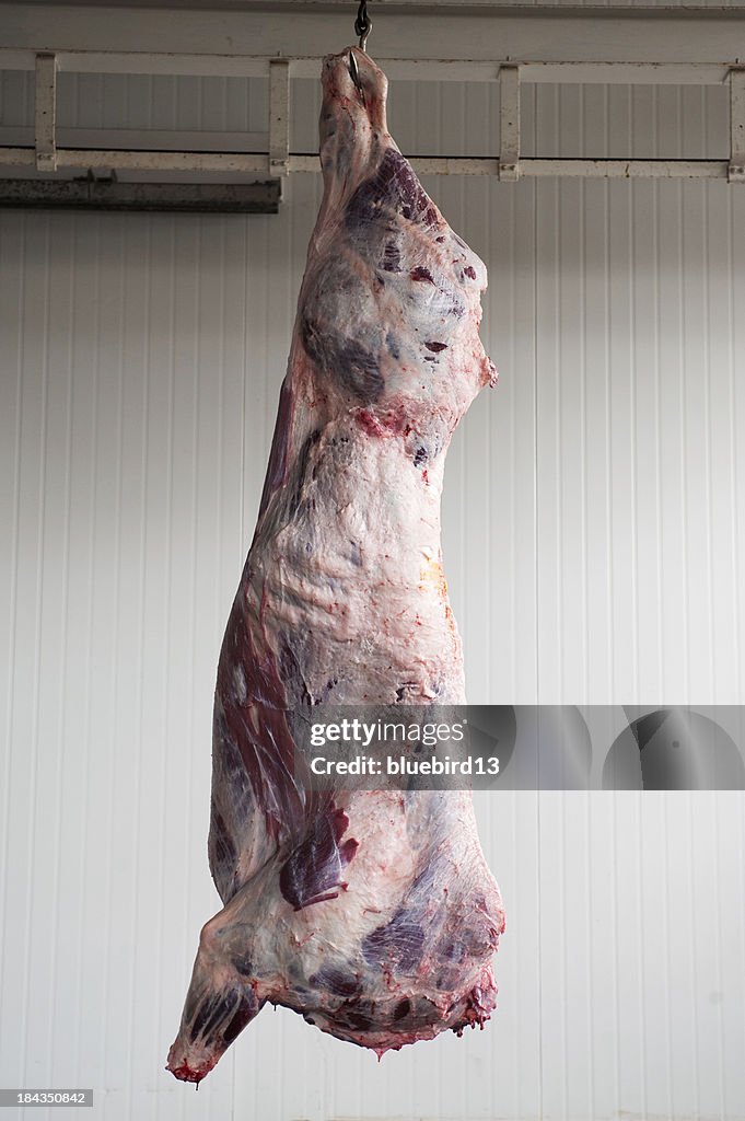 Slaughtered animal hanging from ceiling